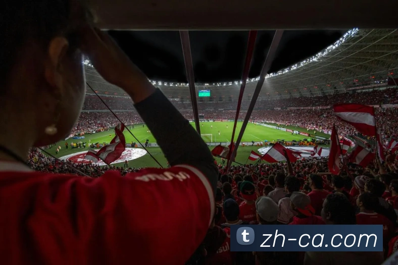 世界杯官网登录app平台生态图